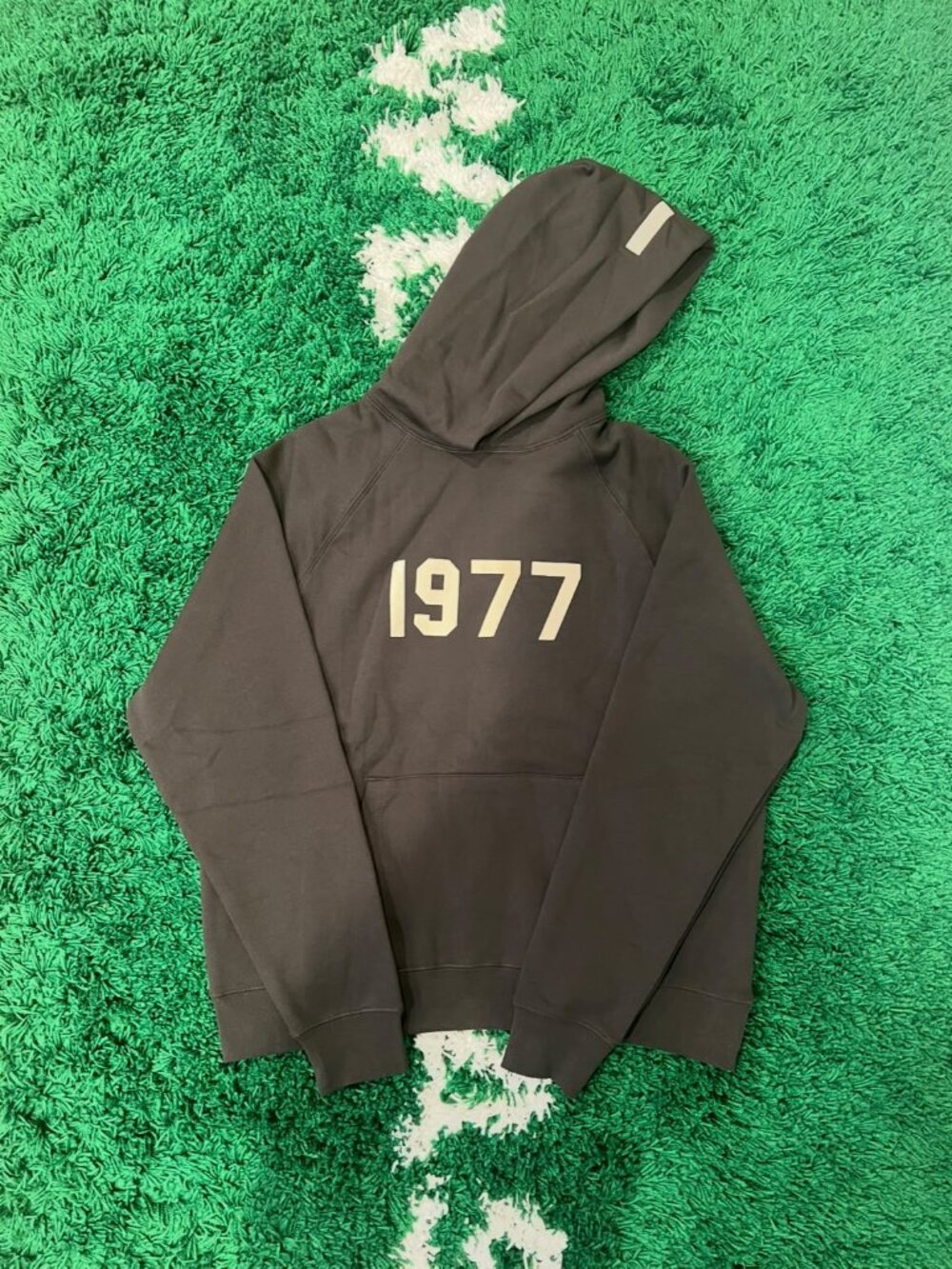 1977 Iron SS22 Hoodies